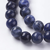 Natural Sodalite Beads Strands G-G448-10mm-25-3
