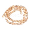 Electroplate Glass Beads Strands EGLA-L045-C-PL04-3