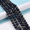 Natural Sodalite Beads Strands G-D481-12C-2