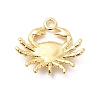 Rack Plating Brass Pendants KK-K270-30G-2
