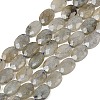 Natural Labradorite Beads Strands G-H349-A01-03-2