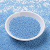 MIYUKI Round Rocailles Beads SEED-G007-RR0537-2