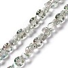 Transparent Electroplate Glass Beads Strands EGLA-L043-FR02-1