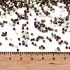 Baking Paint Glass Seed Beads X-SEED-S042-05B-55-4