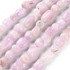 Natural Kunzite Beads Strands G-P497-01C-36-1