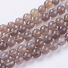 Natural Agate Beads Strands G-G583-10mm-08-1