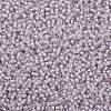 TOHO 11/0 Round Beads X-SEED-TR11-1066-2