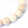Frosted Natural Fossil Round Bead Strands X-G-E334-8mm-22-2