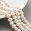 Natural Cultured Freshwater Pearl Beads Strands PEAR-C003-15C-1