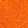 8/0 Glass Seed Beads X-SEED-A004-3mm-9B-3