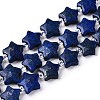 Dyed Natural Lapis Lazuli Dyed Beads Strands G-T138-190-4