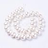 Shell Pearl Beads Strands BSHE-L035-E03-2