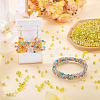 Picasso Baking Paint Glass Seed Beads SEED-TA0001-62D-6