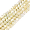 Anti-Tarnish Electroplate Bicone Glass Beads Strands EGLA-T021-4mm-16-14-1