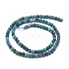 Natural Apatite Beads Strands G-I254-08A-2