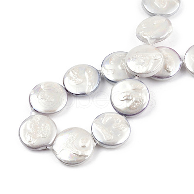 Plating Natural Freshwater Shell Beads Strands SHEL-N026-225B-1