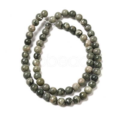 Natural Wood Lace Stone Beads Strands G-P497-02A-01-1