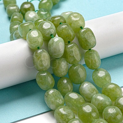 Natural Malaysia Jade Beads Strands G-P528-N01-01-1