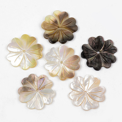Natural Black Lip Shell Beads SHEL-R049-011-1