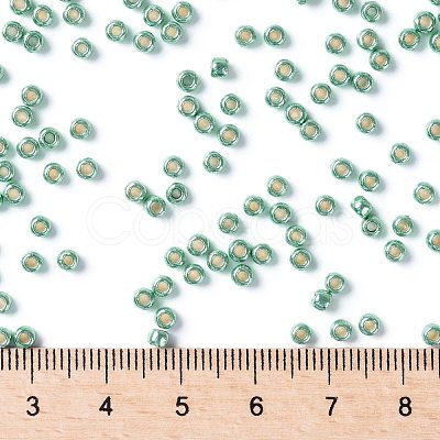 TOHO Round Seed Beads SEED-JPTR08-PF0561-1