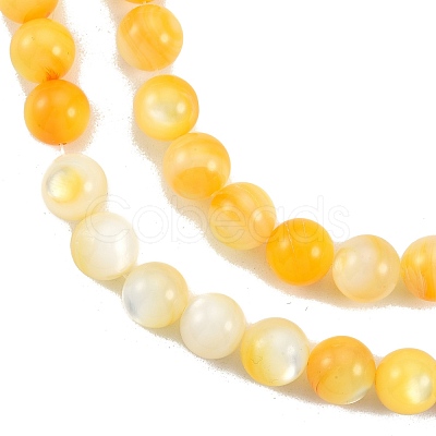 Natural Golden Yellow Shell Beads Strands SSHEL-G024-01D-1