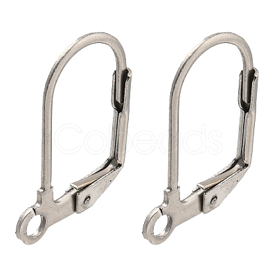 Non-Tarnish 304 Stainless Steel Leverback Earring Findings STAS-P360-02B-P-1