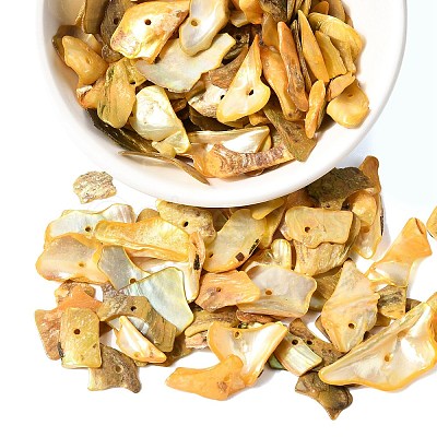 Dyed Natural Mother of Pearl Shell Nuggets Chips Beads BSHE-O007-10C-1