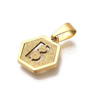 304 Stainless Steel Charms LS-STAS-H227-01G-B-1