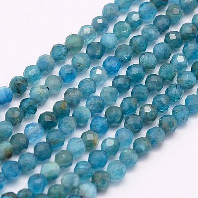 Natural Apatite Beads Strands G-F509-17-2mm-1