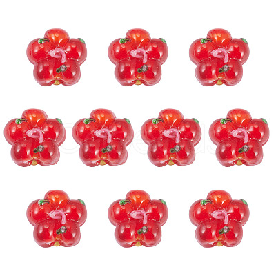 10Pcs Handmade Lampwork Beads LAMP-TADJ0001-01E-1