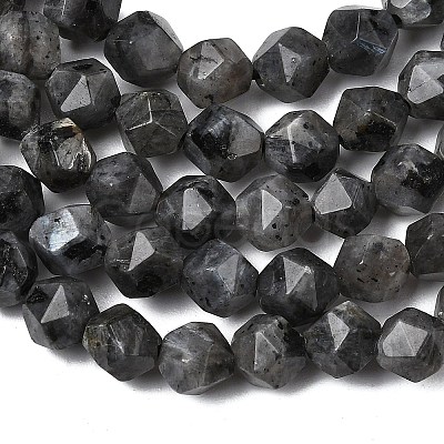 Natural Larvikite Beads Strands G-Z119-A32-01-1