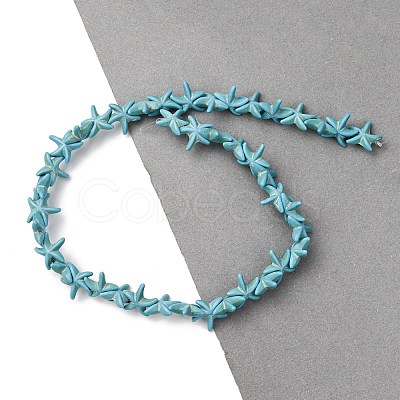Synthetic Turquoise Dyed Beads Strands G-B184-C02-02-1