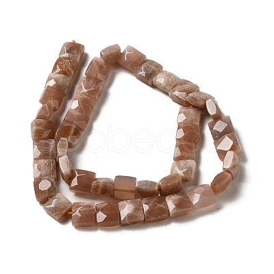 Natural Sunstone Beads Strands G-C109-A09-02-1