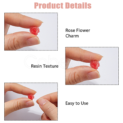 60Pcs 3 Styles Resin Beads RESI-HS0001-12-1