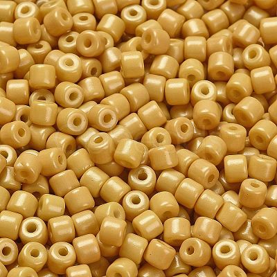 Baking Paint Pearlized Glass Seed Beads SEED-C001-04A-14-1