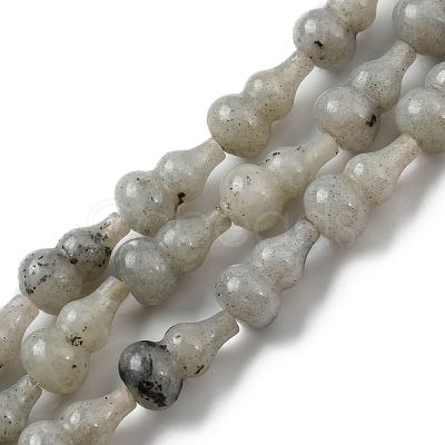 Natural Labradorite Beads Strands G-C039-A01-1