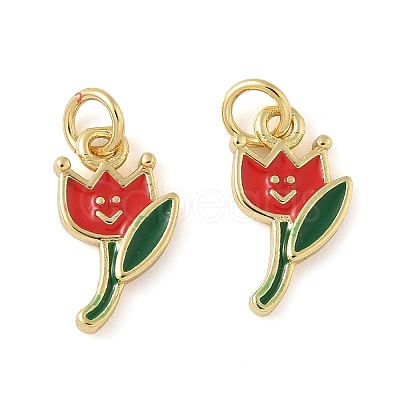 Brass Enamel Charms KK-C110-17C-01G-1
