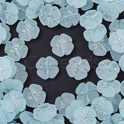 Frosted Transparent Acrylic Beads X1-OACR-P029-19B-06-1