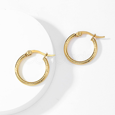 304 Sainless Steel Hoop Earrings for Women AL6869-1