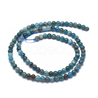 Natural Apatite Beads Strands G-I254-08A-1
