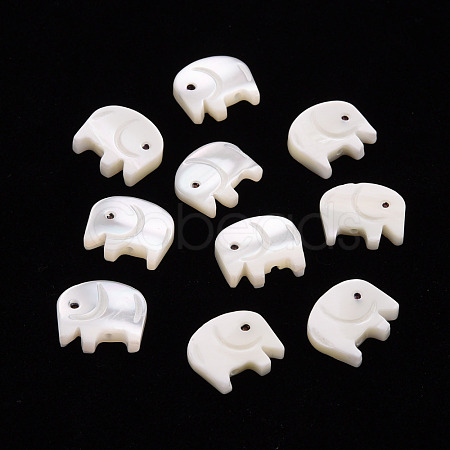 Natural Trochid Shell/Trochus Shell Beads SSHEL-T014-31-1