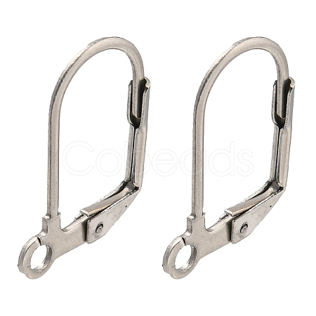 Non-Tarnish 304 Stainless Steel Leverback Earring Findings STAS-P360-02B-P-1