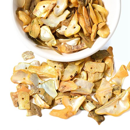 Dyed Natural Mother of Pearl Shell Nuggets Chips Beads BSHE-O007-10C-1