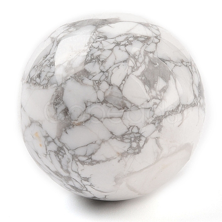 Natural Howlite Sphere Beads G-I367-07F-1
