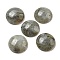 Natural Labradorite Cabochons, Flat Round, 20~21.5x6~8mm