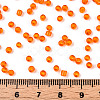 8/0 Glass Seed Beads X-SEED-A004-3mm-9B-5