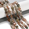 Natural Rutilated Quartz Beads Strands G-P497-01C-19-2