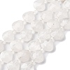 Natural Quartz Crystal Beads Strands G-P570-E21-02-2