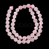Natural Rose Quartz Beads Strands G-Z119-A41-02-4