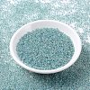 MIYUKI Round Rocailles Beads SEED-G007-RR0263-3